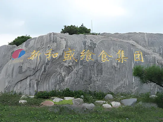 SEAHISUN: premier et meilleur acheteur de congélateur en spirale de JET