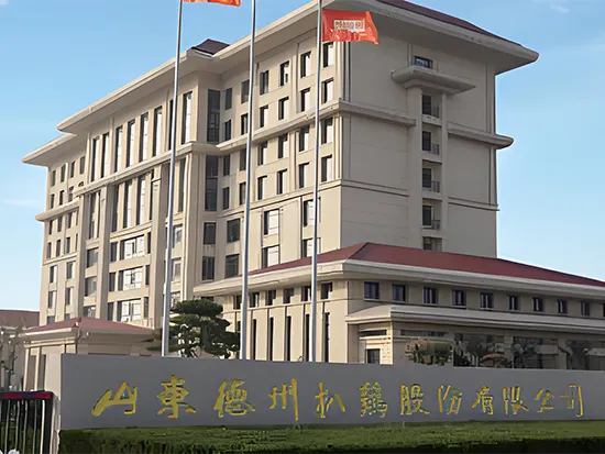 Shandong Dezhou Poulet Braisé Co., Ltd.