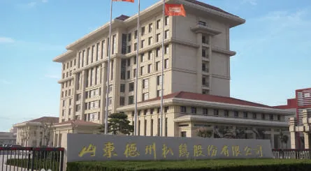 Shandong Dezhou Poulet Braisé Co., Ltd.