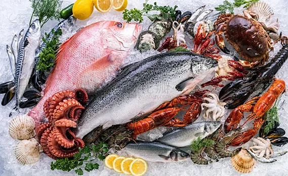 Préserver la fraîcheur des produits aquatiques avec des solutions de congélation de pointe